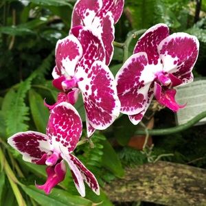 Meet your Posher, Kasey